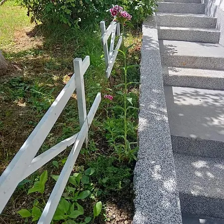 Kuca Za Odmor Ravne H&n Lejlighed *