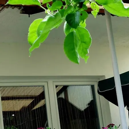 Kuca Za Odmor Ravne H&n * ヴィソコ