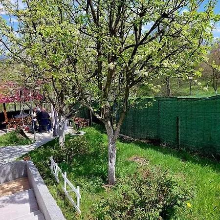 アパート Kuca Za Odmor Ravne H&n ヴィソコ