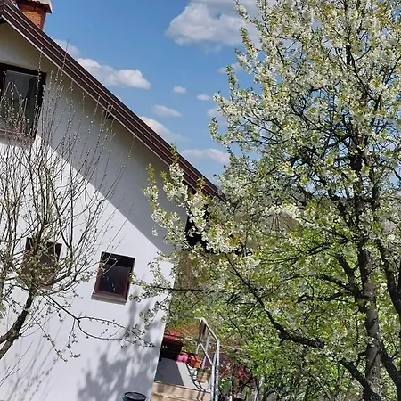 Kuca Za Odmor Ravne H&n Visoko