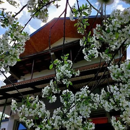 Kuca Za Odmor Ravne H&n * ヴィソコ